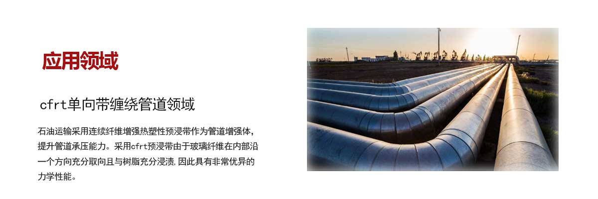 石油(you)管道領域