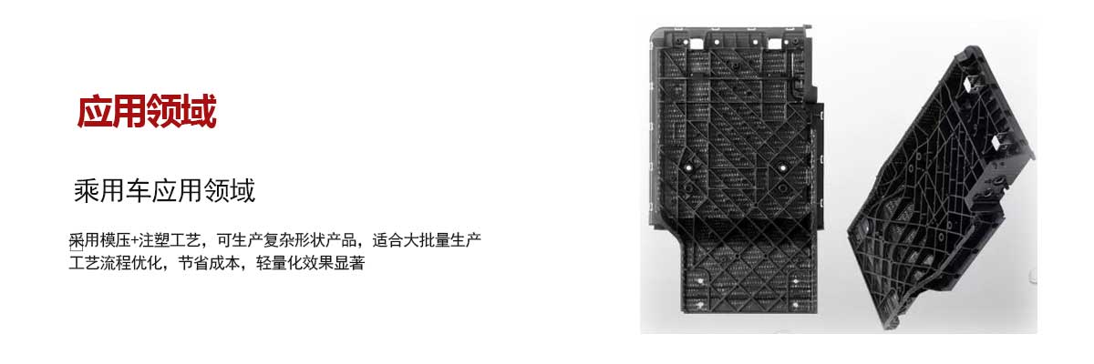 乘用車應用(yong)領域